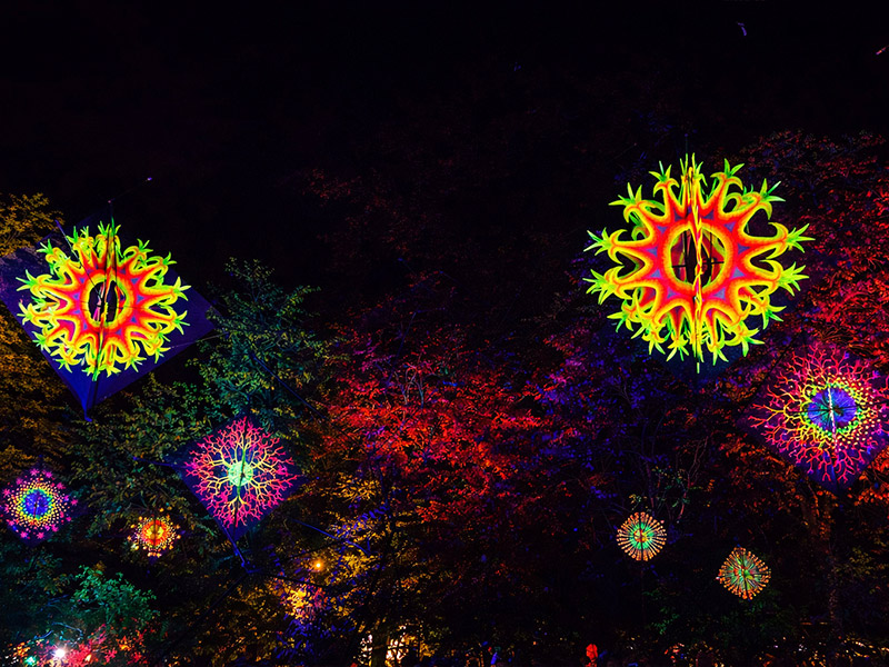 Flowers of life